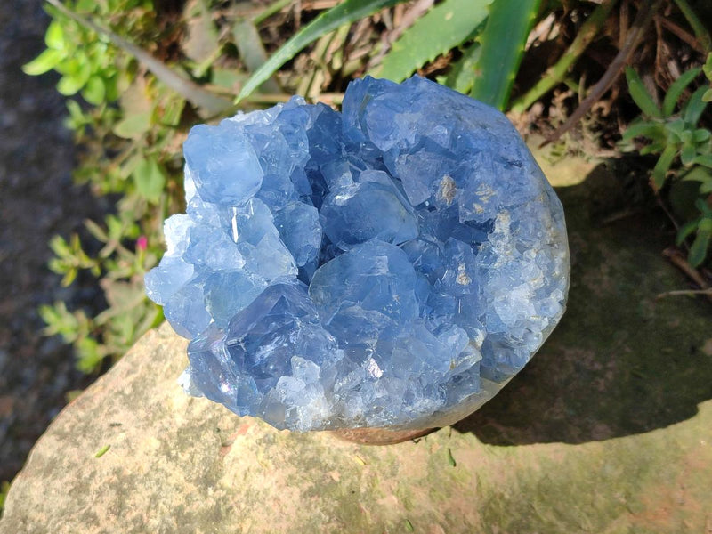 Natural Blue Celestite Specimens x 2 From Sakoany, Madagascar - Toprock Gemstones and Minerals 