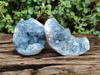 Natural Blue Celestite Specimens x 2 From Sakoany, Madagascar - Toprock Gemstones and Minerals 