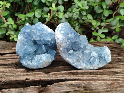 Natural Blue Celestite Specimens x 2 From Sakoany, Madagascar - Toprock Gemstones and Minerals 