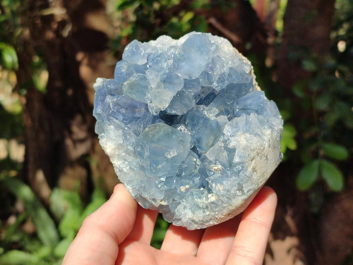 Natural Blue Celestite Specimens x 2 From Sakoany, Madagascar - Toprock Gemstones and Minerals 