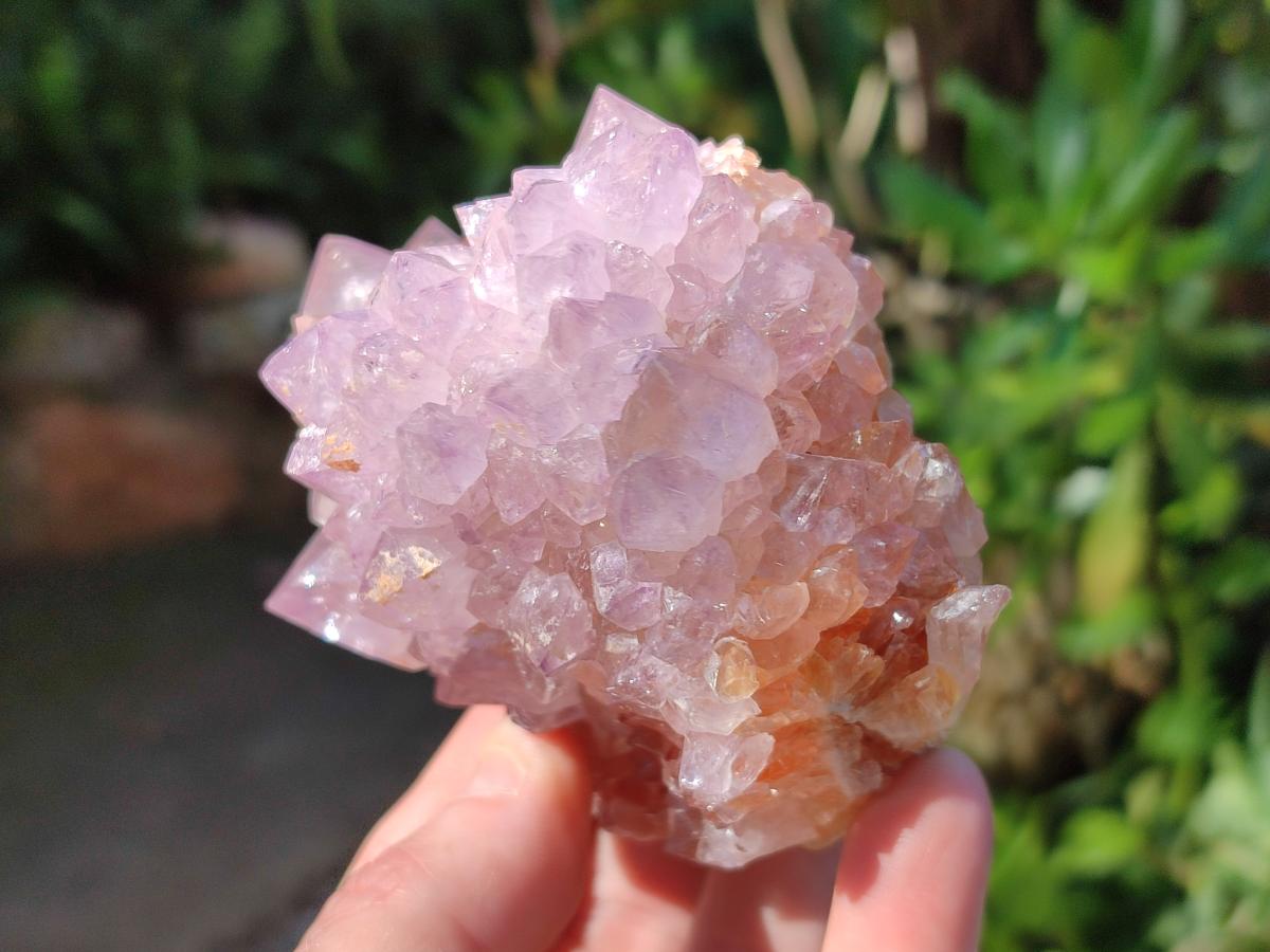 Natural Large Spirit Amethyst Clusters x 2 From Boekenhouthoek, South Africa - Toprock Gemstones and Minerals 