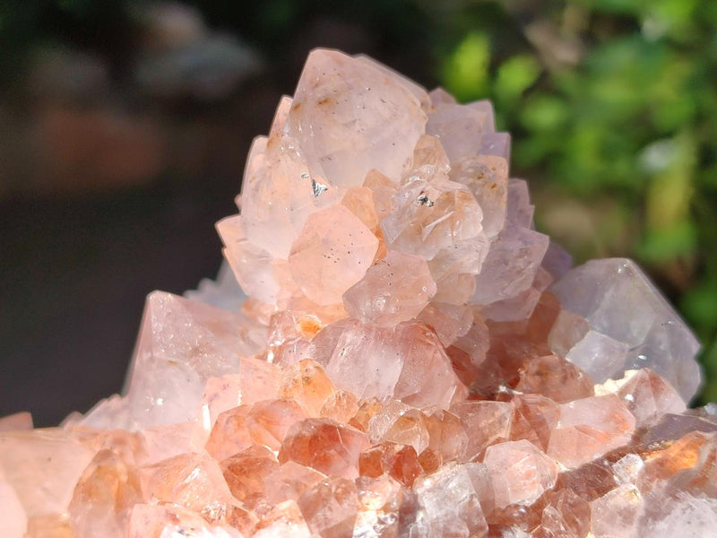 Natural Large Spirit Amethyst Clusters x 2 From Boekenhouthoek, South Africa - Toprock Gemstones and Minerals 