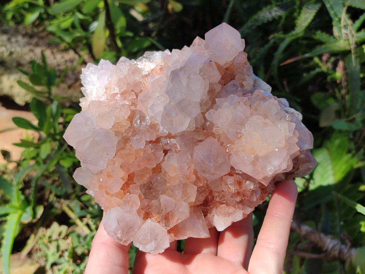 Natural Large Spirit Amethyst Clusters x 2 From Boekenhouthoek, South Africa - Toprock Gemstones and Minerals 