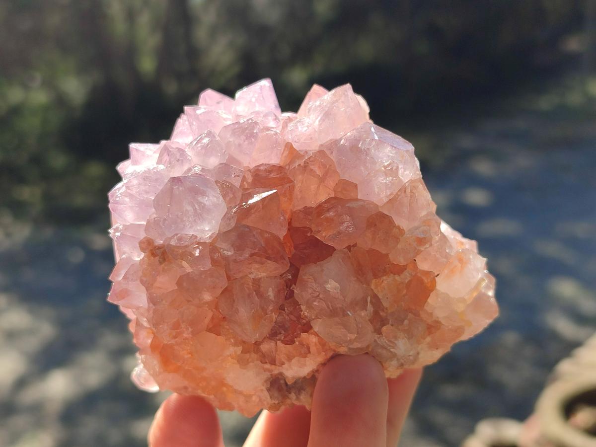 Natural Large Spirit Amethyst Clusters x 2 From Boekenhouthoek, South Africa - Toprock Gemstones and Minerals 