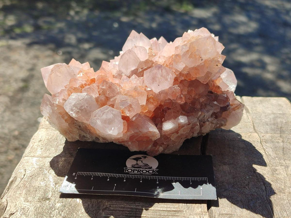 Natural Large Spirit Amethyst Clusters x 2 From Boekenhouthoek, South Africa - Toprock Gemstones and Minerals 