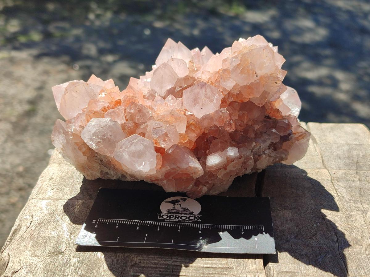 Natural Large Spirit Amethyst Clusters x 2 From Boekenhouthoek, South Africa - Toprock Gemstones and Minerals 