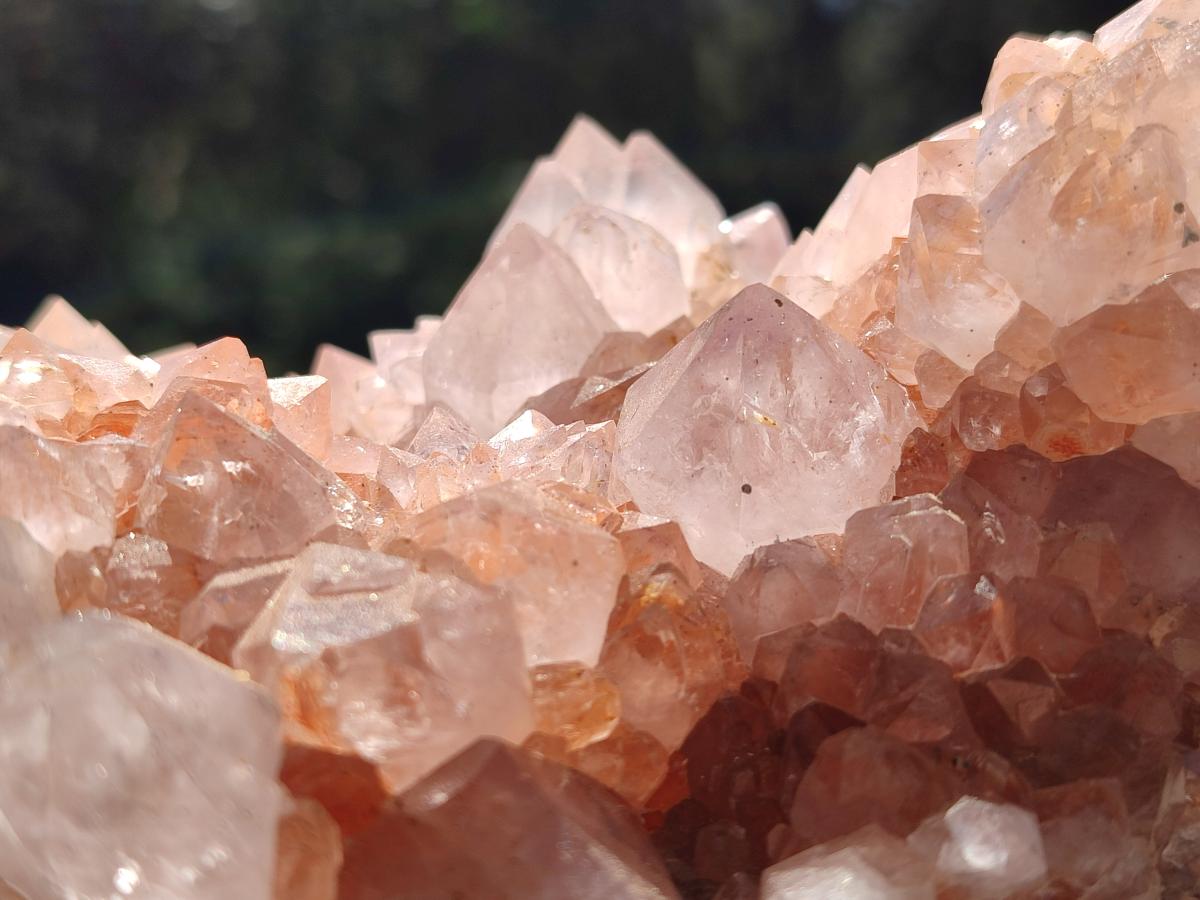 Natural Large Spirit Amethyst Clusters x 2 From Boekenhouthoek, South Africa - Toprock Gemstones and Minerals 