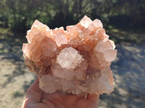 Natural Large Spirit Amethyst Clusters x 2 From Boekenhouthoek, South Africa - Toprock Gemstones and Minerals 