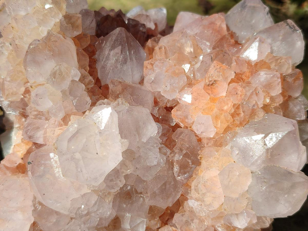 Natural Large Spirit Amethyst Clusters x 2 From Boekenhouthoek, South Africa - Toprock Gemstones and Minerals 