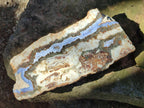 Polished Blue Lace Agate With Crazy Lace Slice and Slab x 2 From Namibia - Toprock Gemstones and Minerals 