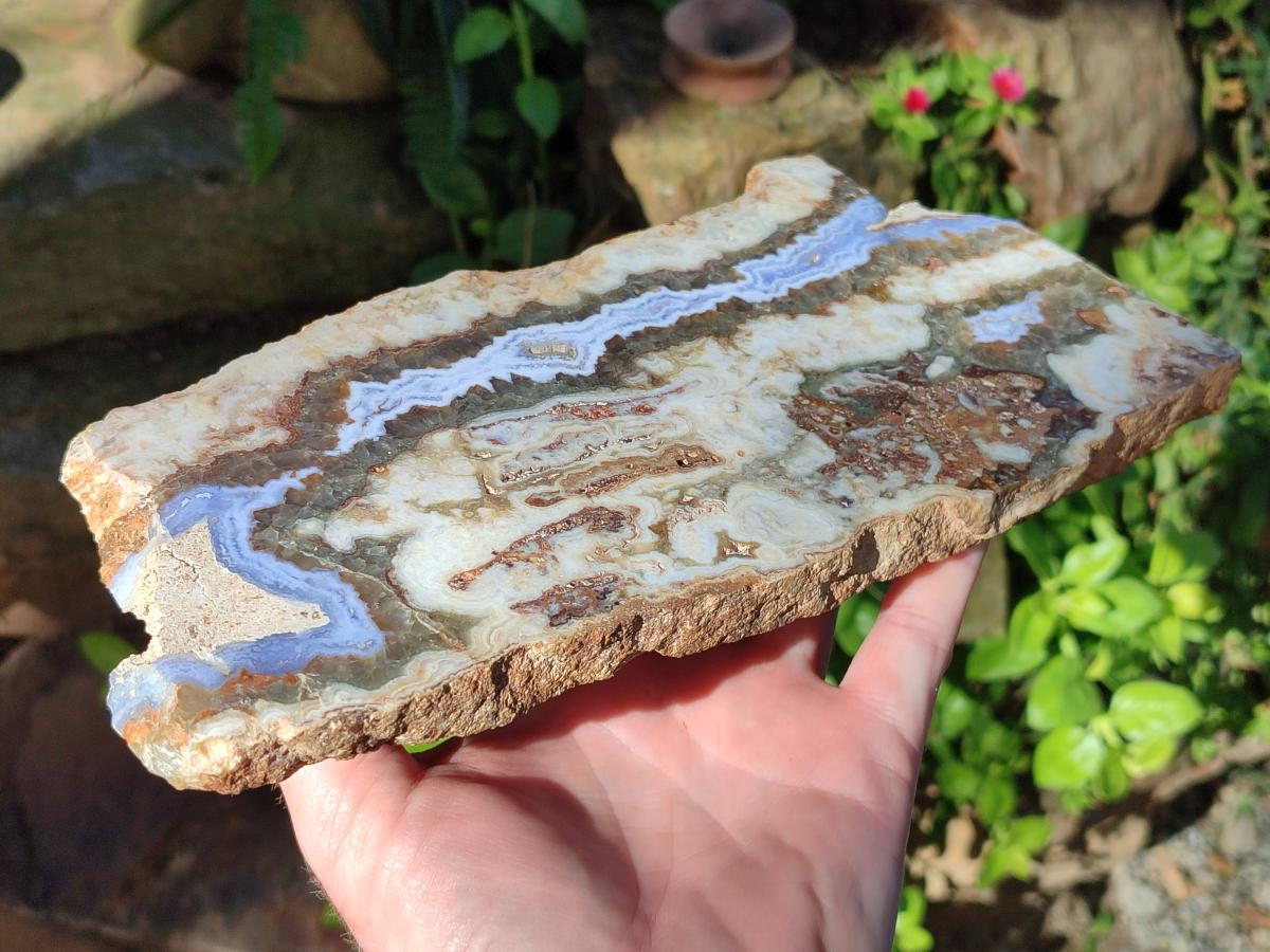 Polished Blue Lace Agate With Crazy Lace Slice and Slab x 2 From Namibia - Toprock Gemstones and Minerals 