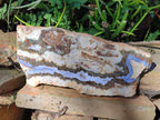 Polished Blue Lace Agate With Crazy Lace Slice and Slab x 2 From Namibia - Toprock Gemstones and Minerals 