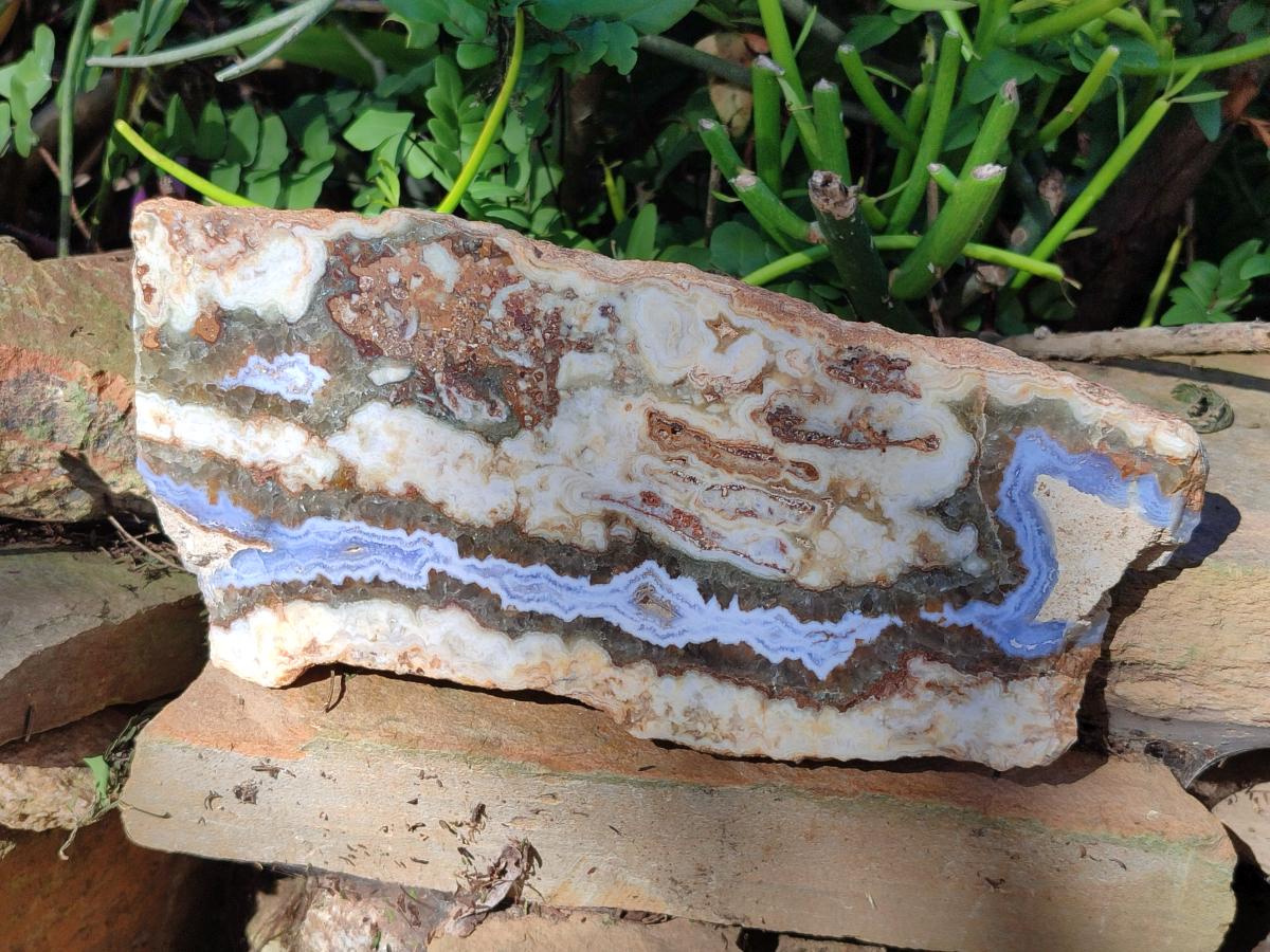 Polished Blue Lace Agate With Crazy Lace Slice and Slab x 2 From Namibia - Toprock Gemstones and Minerals 