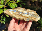 Polished Blue Lace Agate With Crazy Lace Slice and Slab x 2 From Namibia - Toprock Gemstones and Minerals 