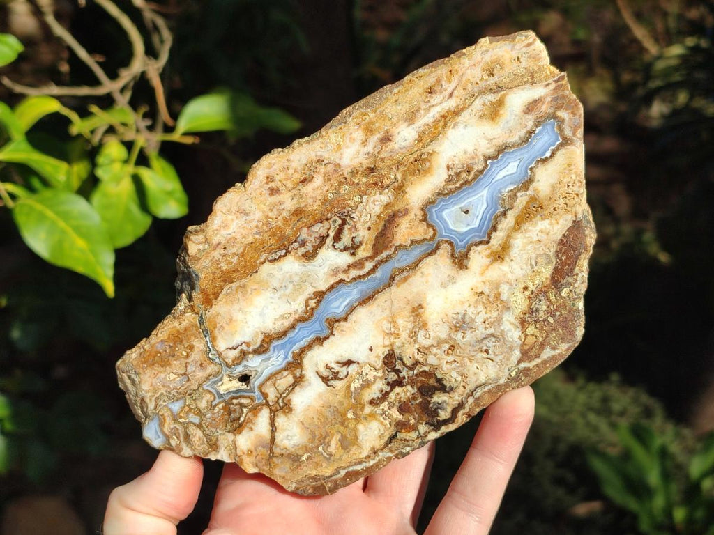 Polished Blue Lace Agate With Crazy Lace Slice and Slab x 2 From Namibia - Toprock Gemstones and Minerals 