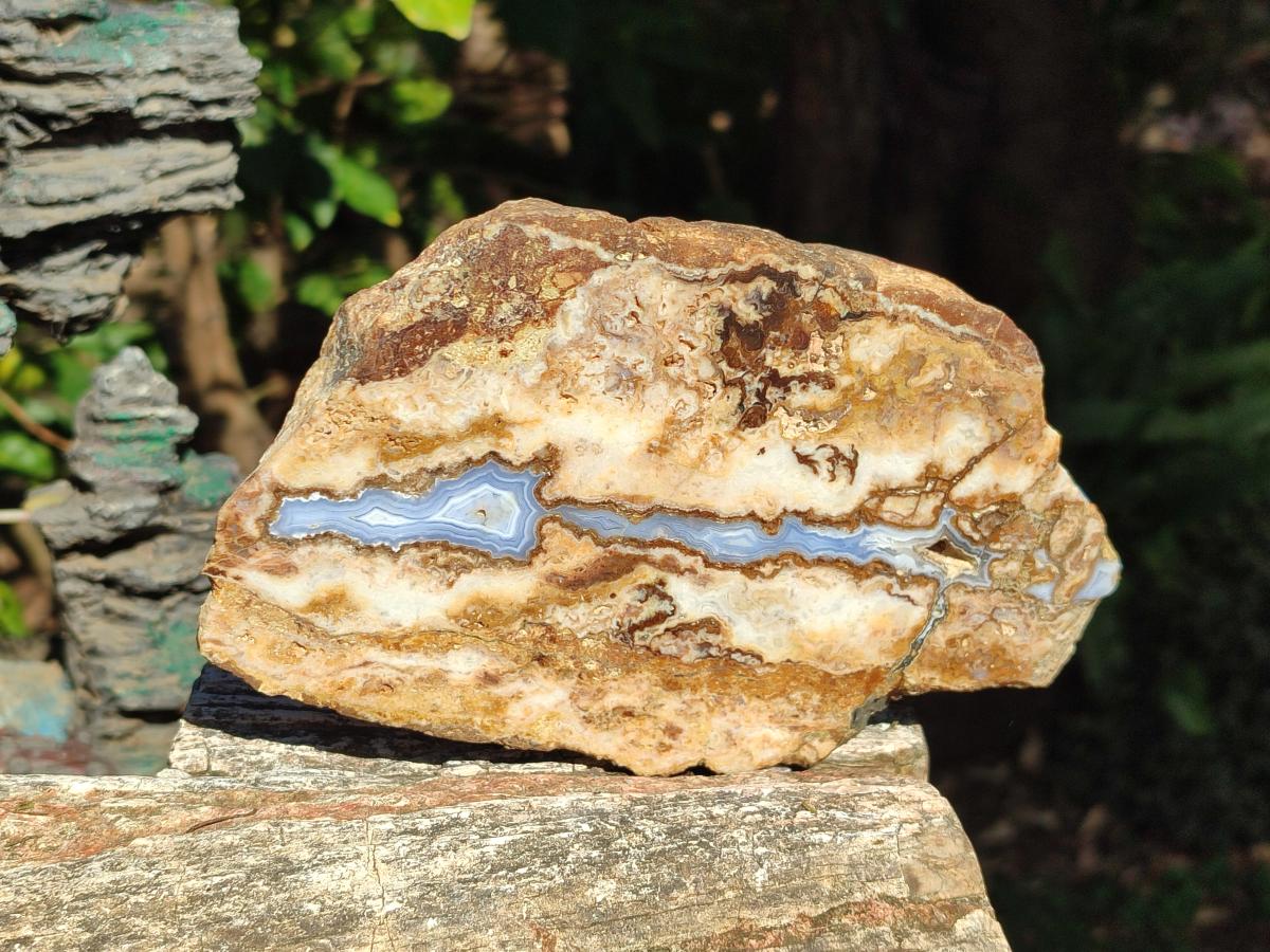 Polished Blue Lace Agate With Crazy Lace Slice and Slab x 2 From Namibia - Toprock Gemstones and Minerals 