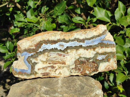Polished Blue Lace Agate With Crazy Lace Slice and Slab x 2 From Namibia - Toprock Gemstones and Minerals 