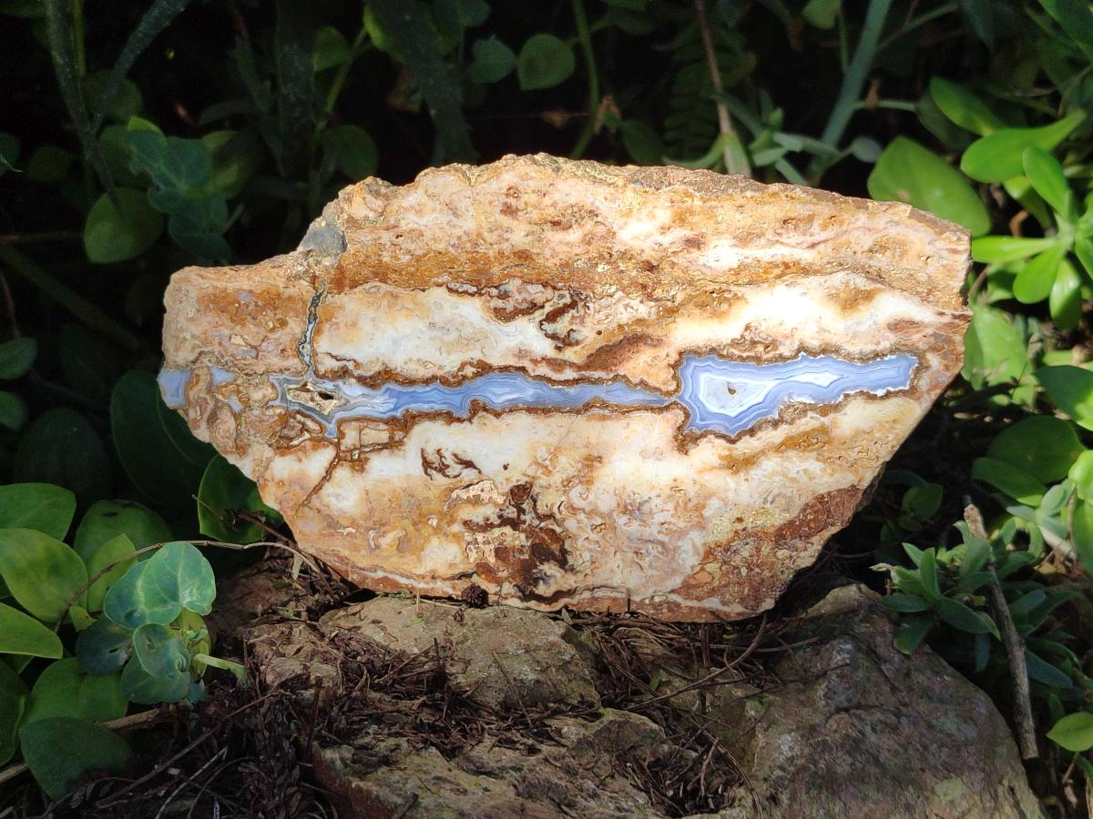 Polished Blue Lace Agate With Crazy Lace Slice and Slab x 2 From Namibia - Toprock Gemstones and Minerals 