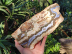 Polished Blue Lace Agate With Crazy Lace Slice and Slab x 2 From Namibia - Toprock Gemstones and Minerals 