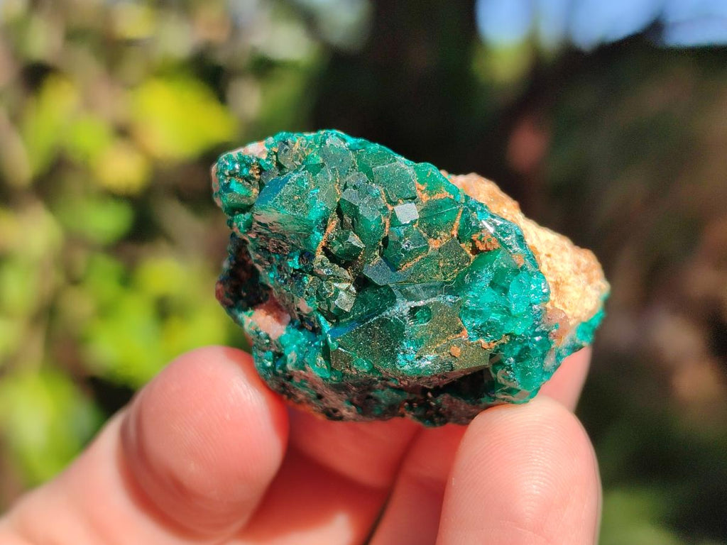 Natural Dioptase on Dolomite Specimens x 16 From Likasi, Congo - Toprock Gemstones and Minerals 