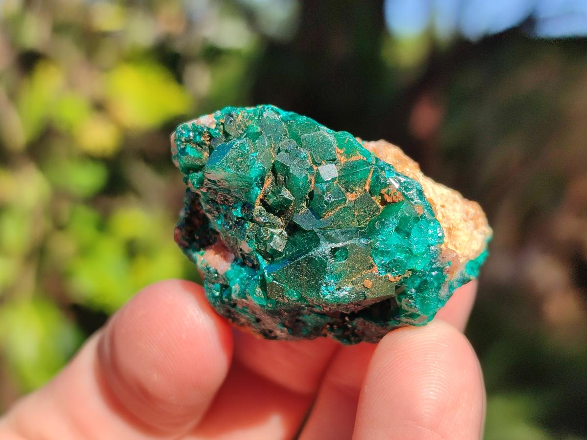 Natural Dioptase on Dolomite Specimens x 16 From Likasi, Congo - Toprock Gemstones and Minerals 