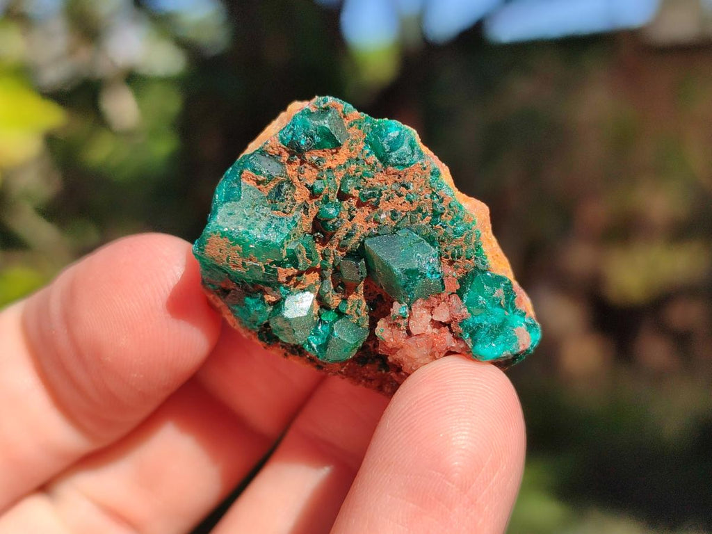 Natural Dioptase on Dolomite Specimens x 16 From Likasi, Congo - Toprock Gemstones and Minerals 
