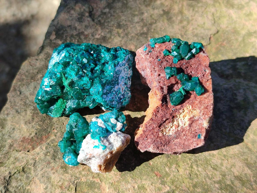 Natural Dioptase on Dolomite Specimens x 16 From Likasi, Congo - Toprock Gemstones and Minerals 