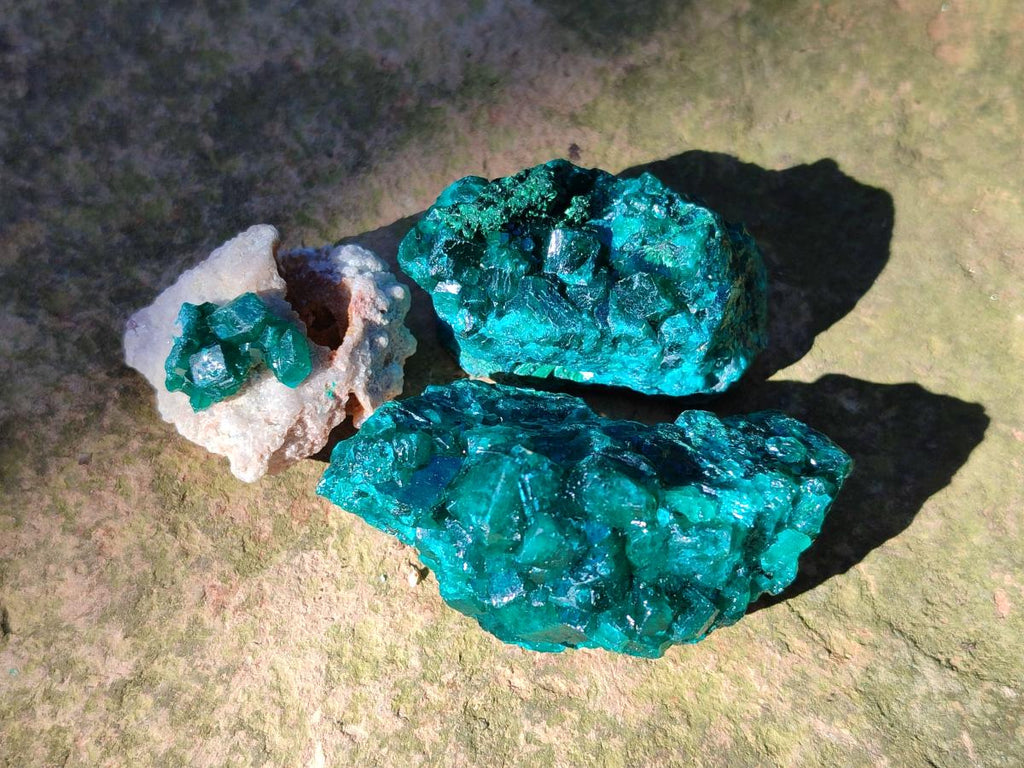 Natural Dioptase on Dolomite Specimens x 16 From Likasi, Congo - Toprock Gemstones and Minerals 