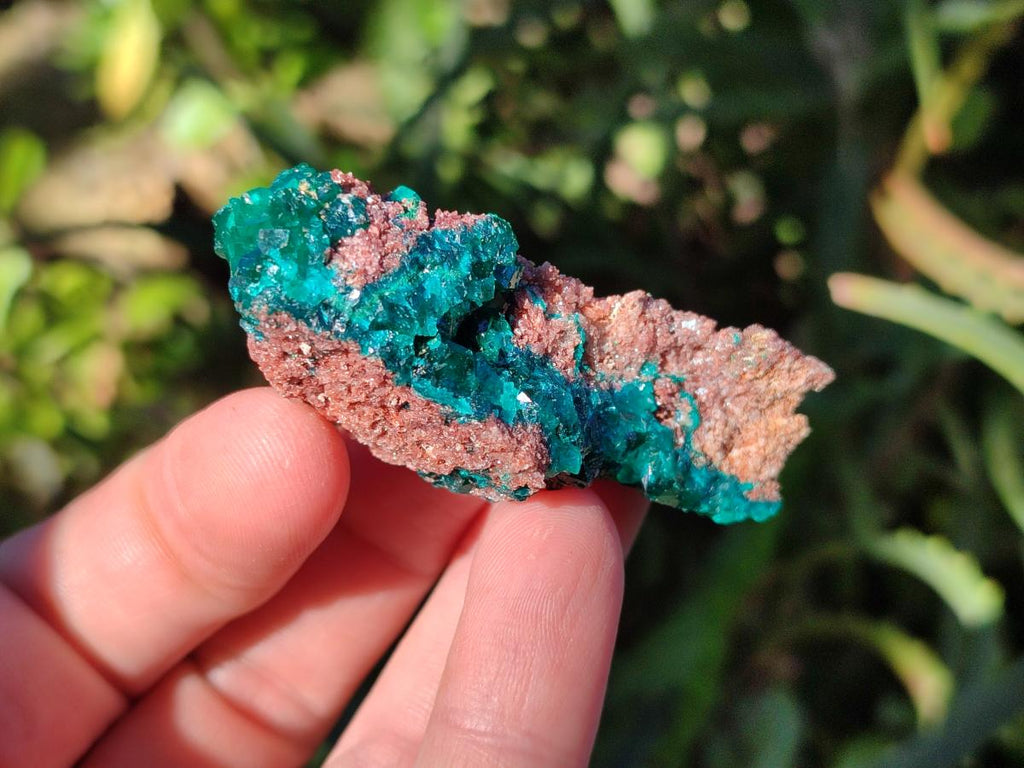 Natural Dioptase on Dolomite Specimens x 16 From Likasi, Congo - Toprock Gemstones and Minerals 
