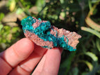 Natural Dioptase on Dolomite Specimens x 16 From Likasi, Congo - Toprock Gemstones and Minerals 