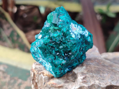 Natural Dioptase on Dolomite Specimens x 16 From Likasi, Congo - Toprock Gemstones and Minerals 