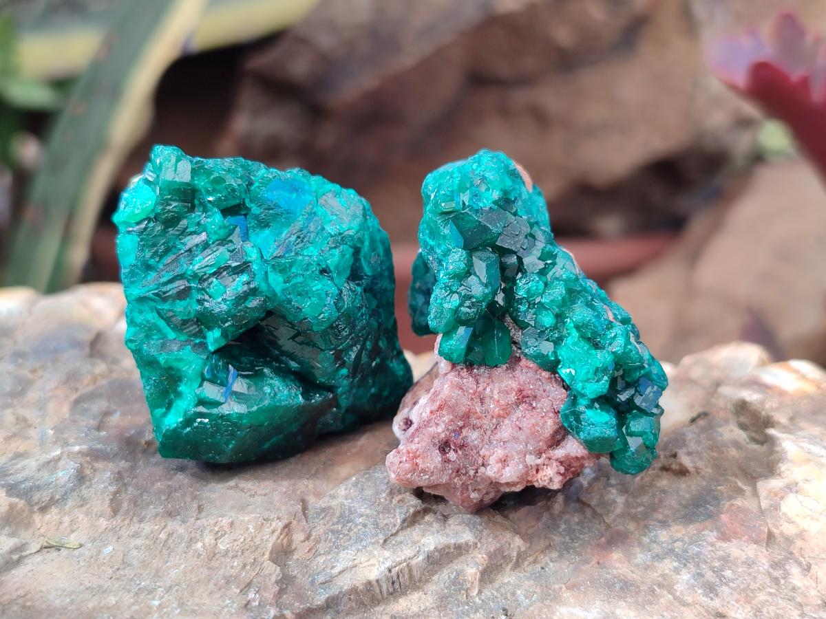 Natural Dioptase on Dolomite Specimens x 16 From Likasi, Congo - Toprock Gemstones and Minerals 