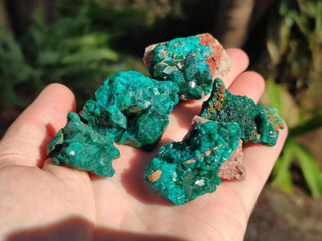 Natural Dioptase on Dolomite Specimens x 16 From Likasi, Congo - Toprock Gemstones and Minerals 