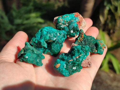 Natural Dioptase on Dolomite Specimens x 16 From Likasi, Congo - Toprock Gemstones and Minerals 