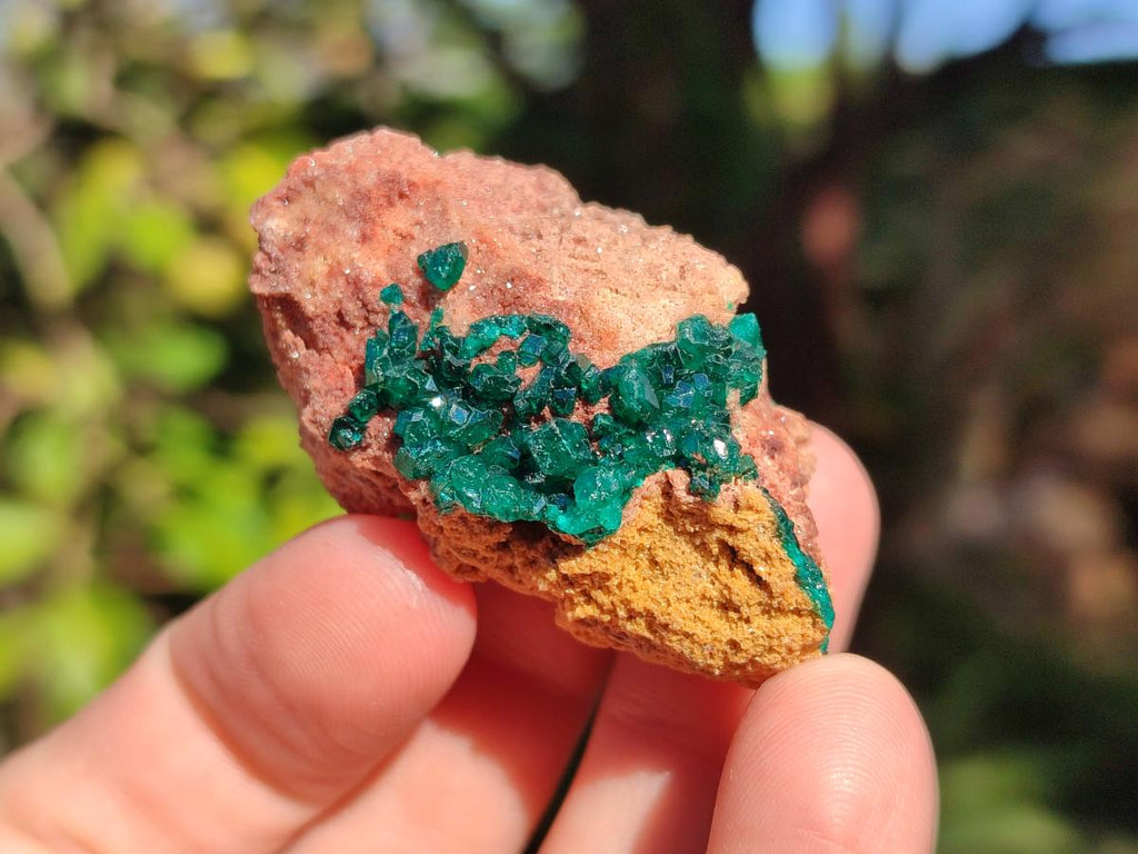Natural Dioptase on Dolomite Specimens x 16 From Likasi, Congo - Toprock Gemstones and Minerals 