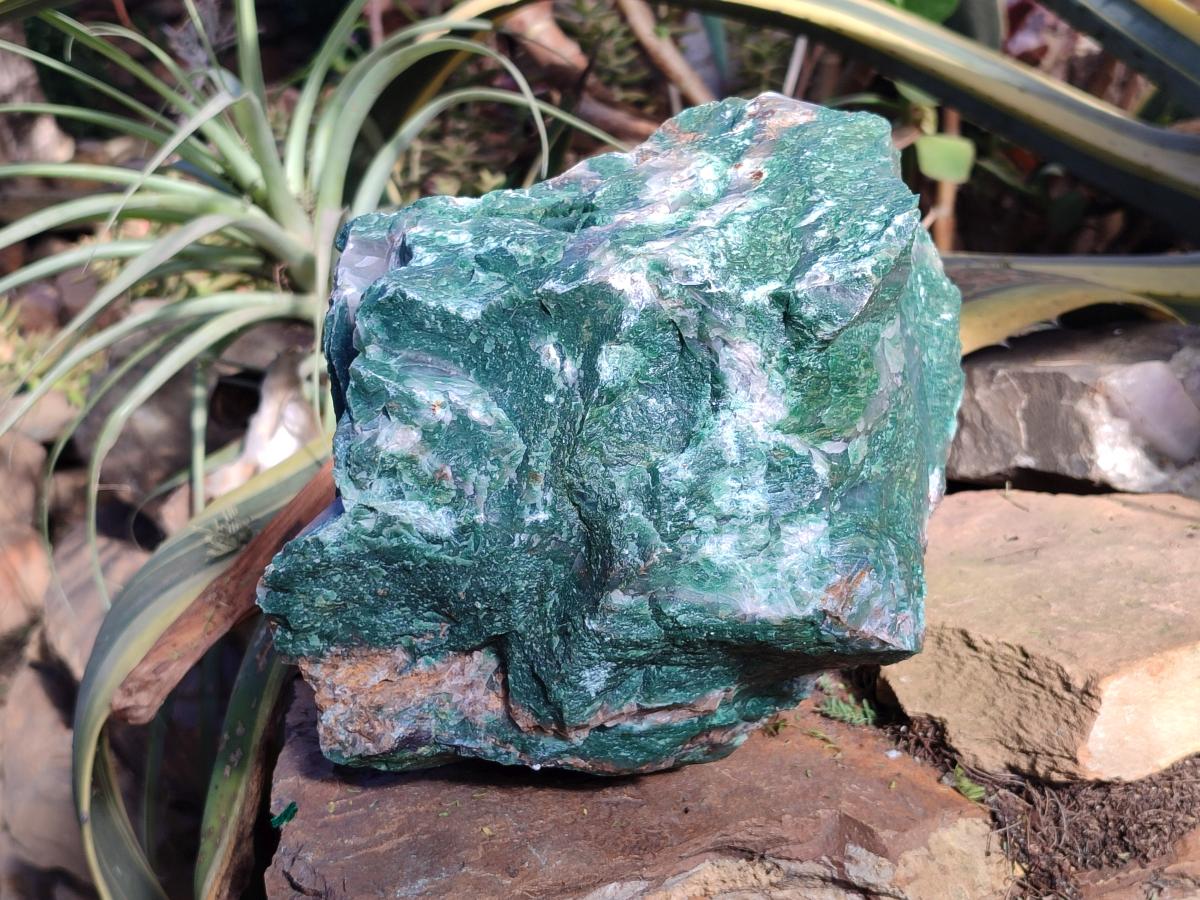 Natural XXL Cobbed Buddstone Specimens x 2 From Swaziland - Toprock Gemstones and Minerals 