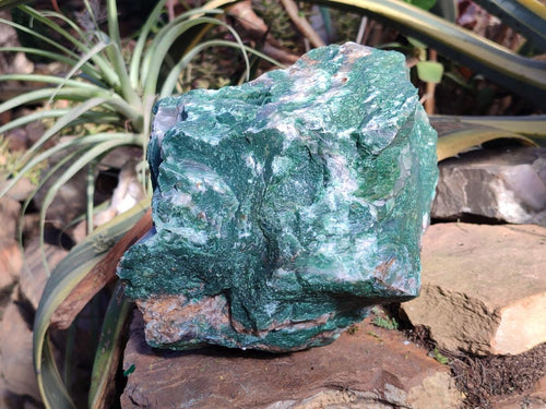 Natural XXL Cobbed Buddstone Specimens x 2 From Swaziland - Toprock Gemstones and Minerals 