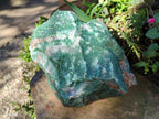Natural XXL Cobbed Buddstone Specimens x 2 From Swaziland - Toprock Gemstones and Minerals 