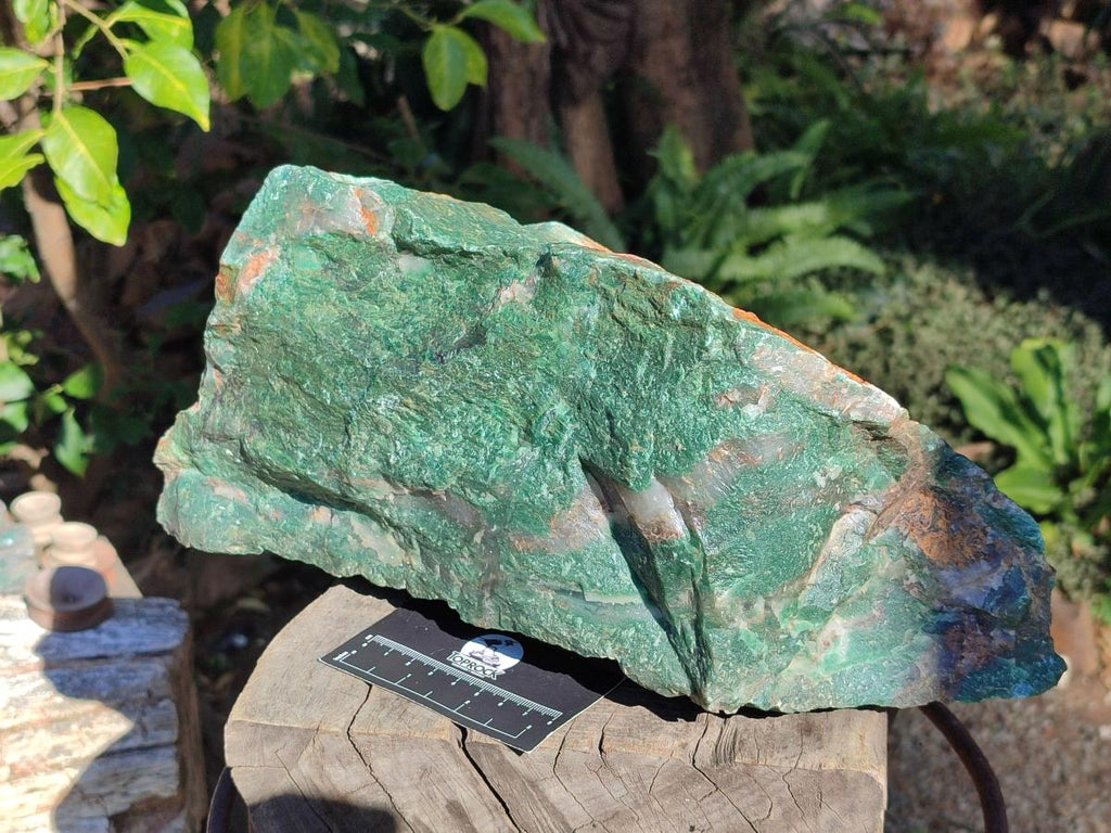 Natural XXL Cobbed Buddstone Specimens x 2 From Swaziland - Toprock Gemstones and Minerals 