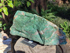 Natural XXL Cobbed Buddstone Specimens x 2 From Swaziland - Toprock Gemstones and Minerals 