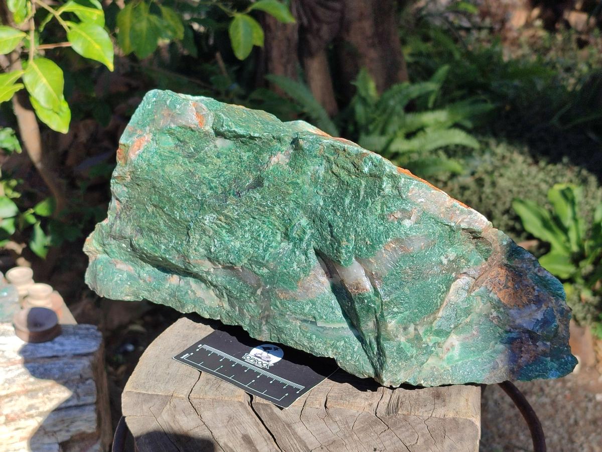 Natural XXL Cobbed Buddstone Specimens x 2 From Swaziland - Toprock Gemstones and Minerals 