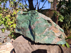 Natural XXL Cobbed Buddstone Specimens x 2 From Swaziland - Toprock Gemstones and Minerals 