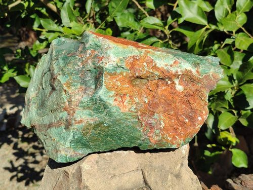 Natural XXL Cobbed Buddstone Specimens x 2 From Swaziland - Toprock Gemstones and Minerals 