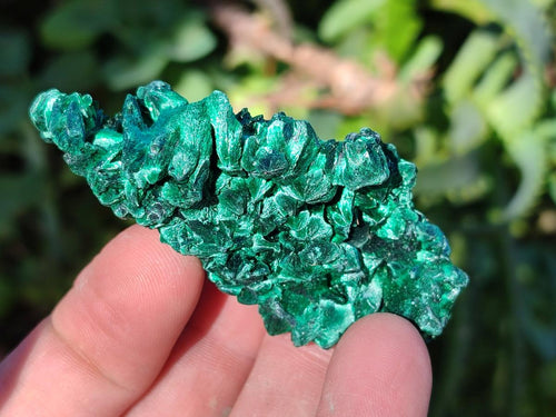 Natural Silky Malachite Specimens x 35 From Kasompe, Congo - Toprock Gemstones and Minerals 