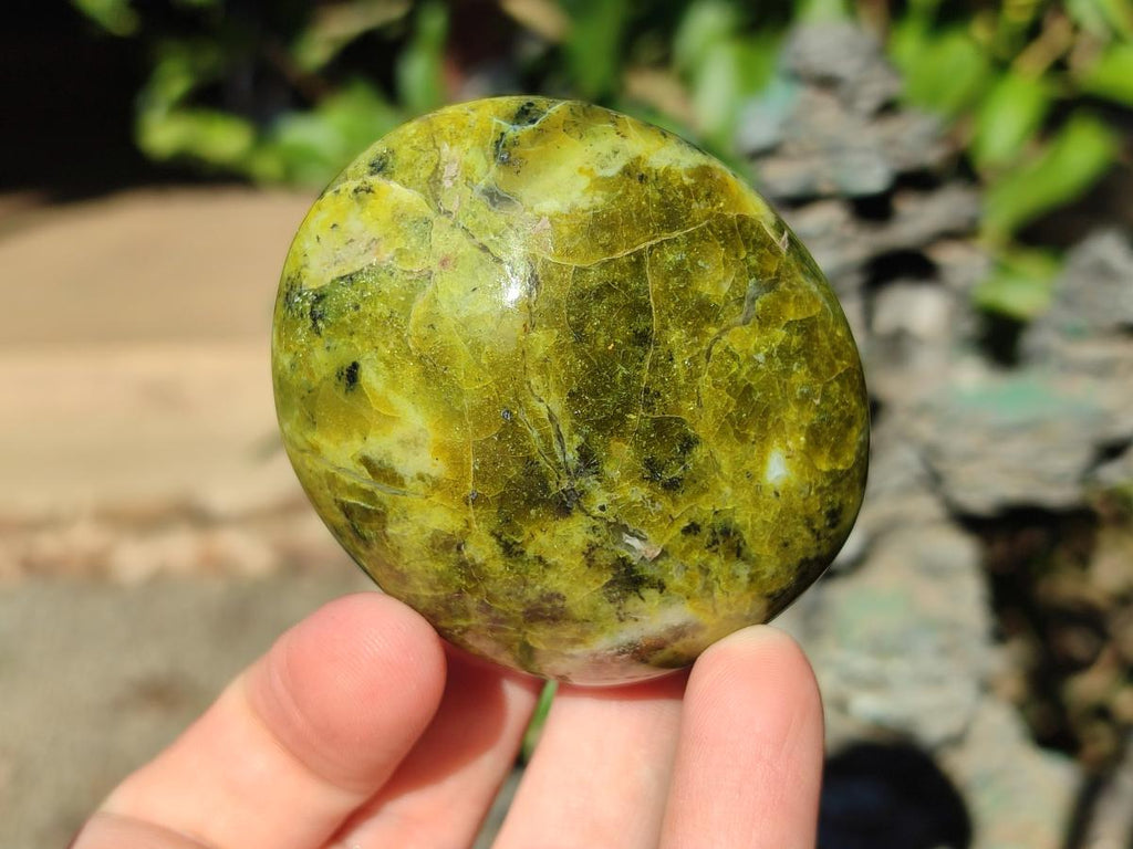 Polished Mixed Multi Mineral Galets x 12 From Madagascar - Toprock Gemstones and Minerals 