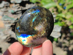Polished Mixed Multi Mineral Galets x 12 From Madagascar - Toprock Gemstones and Minerals 