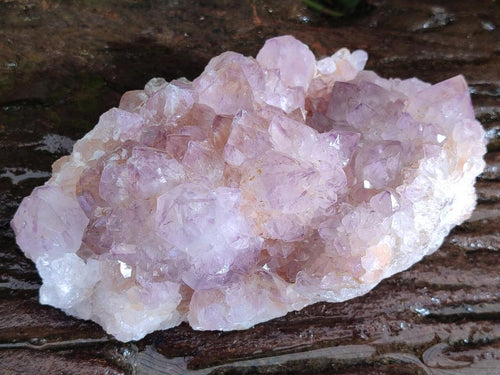 Natural Large Spirit Amethyst Cluster x 1 From Boekenhouthoek, South Africa - Toprock Gemstones and Minerals 