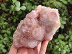 Natural Large Spirit Amethyst Cluster x 1 From Boekenhouthoek, South Africa - Toprock Gemstones and Minerals 