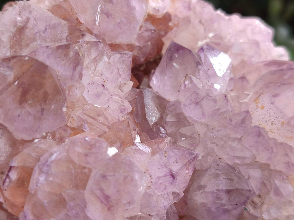 Natural Large Spirit Amethyst Cluster x 1 From Boekenhouthoek, South Africa - Toprock Gemstones and Minerals 