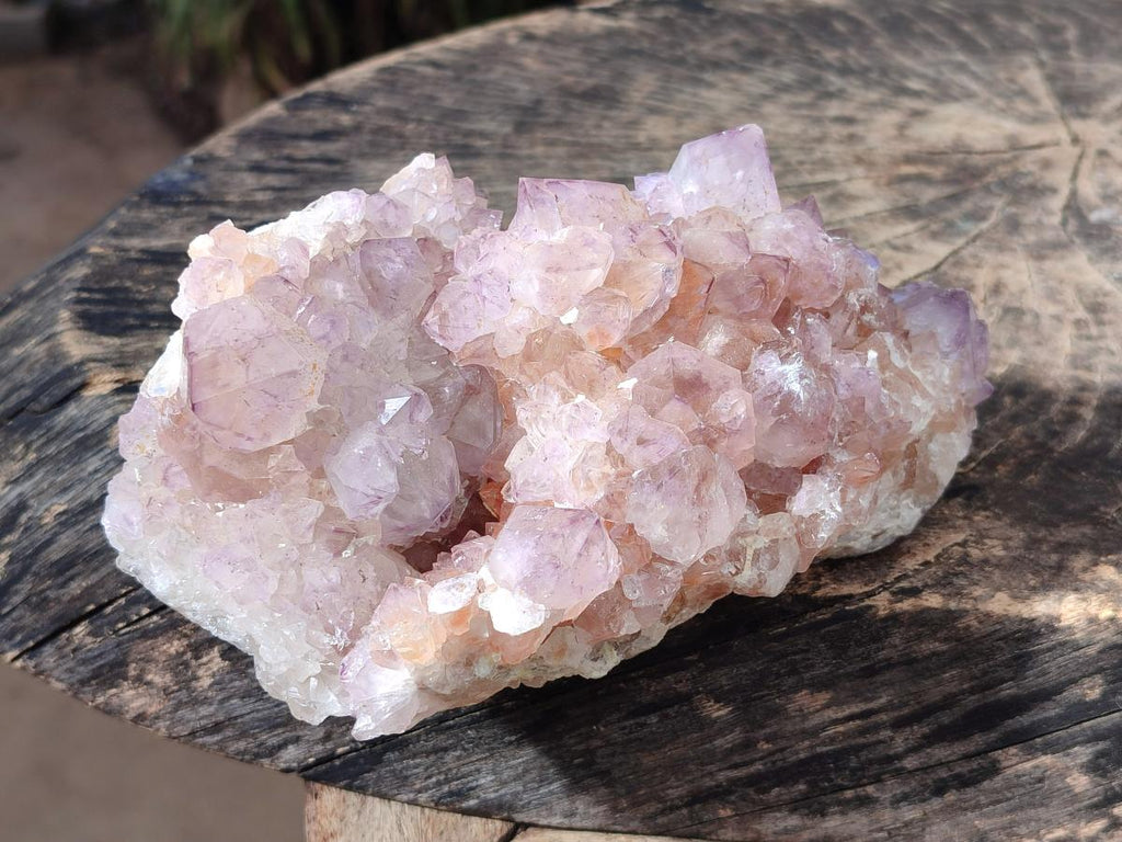 Natural Large Spirit Amethyst Cluster x 1 From Boekenhouthoek, South Africa - Toprock Gemstones and Minerals 